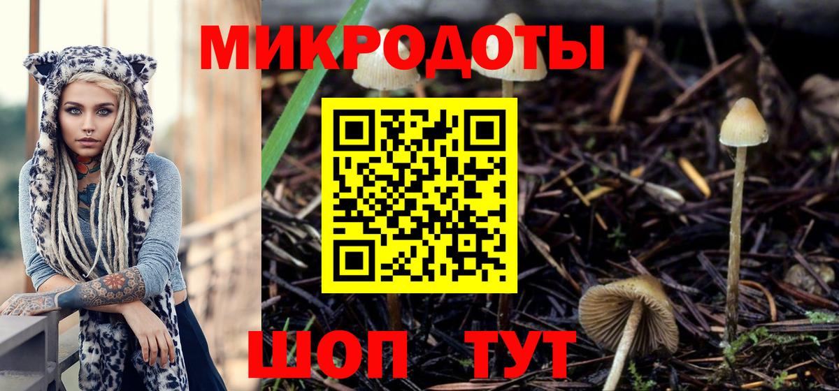 Псилоцибиновые грибы мухоморы  купить наркотик  Вход с VPN  Шелехов  Псилоцибиновые грибы Magic Shrooms 